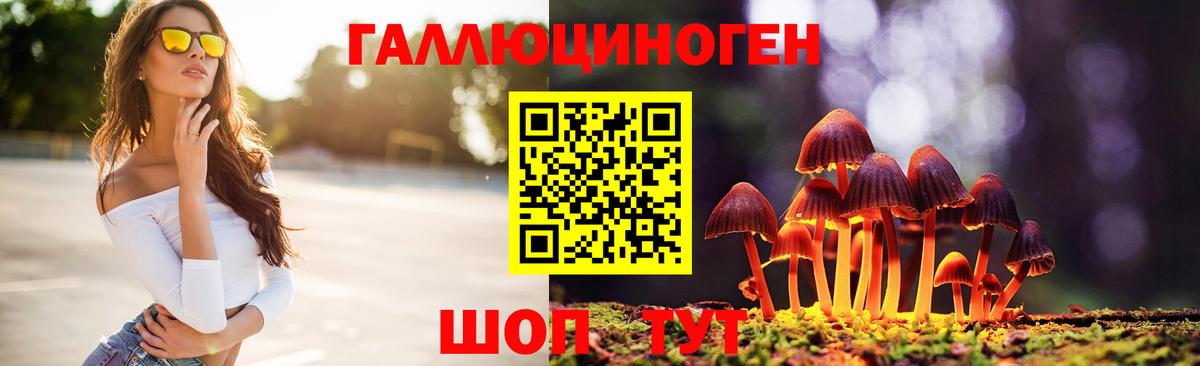 Псилоцибиновые грибы MAGIC MUSHROOMS  Вход с VPN  Губкин 
